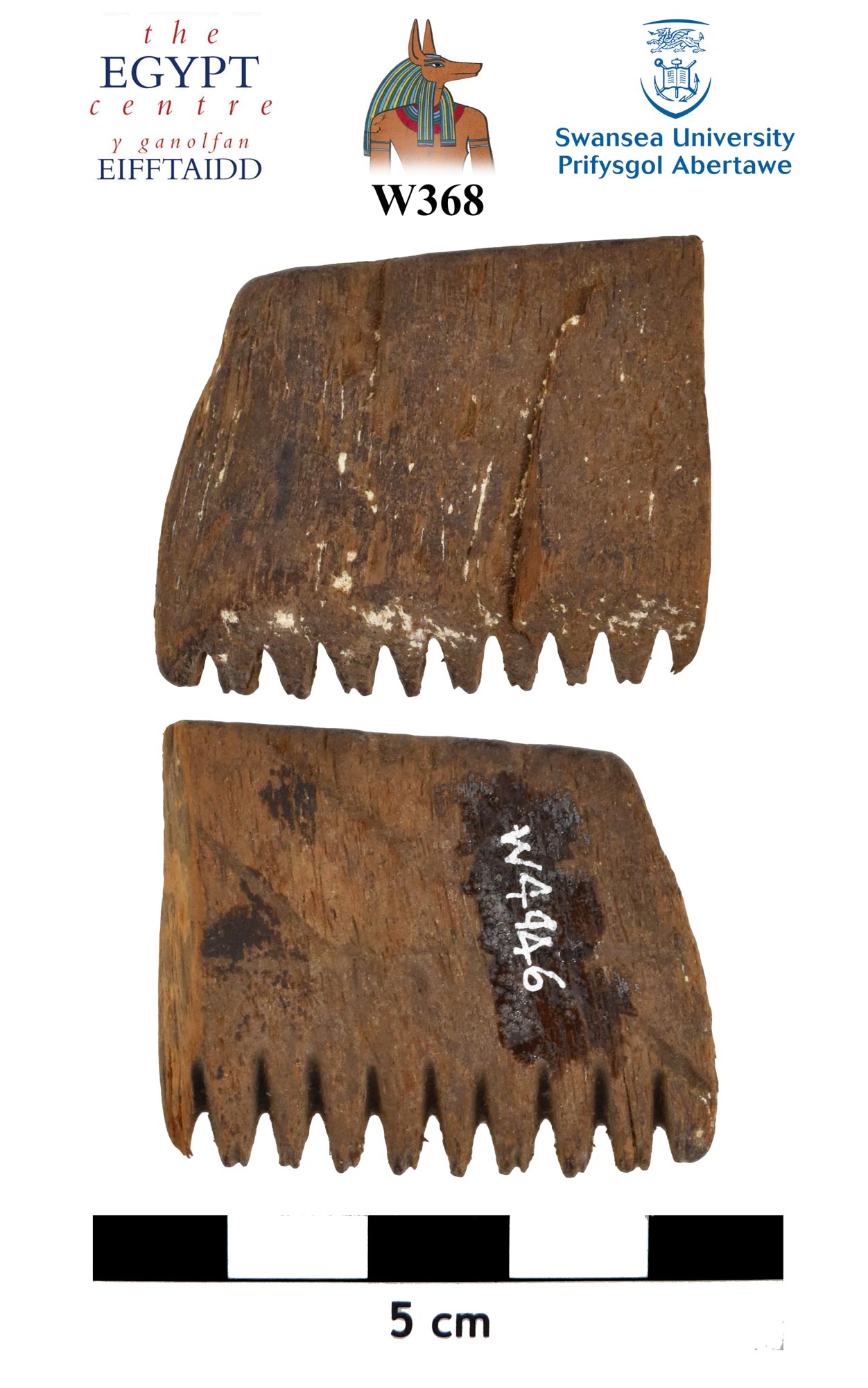 Image for: Fragment of a comb